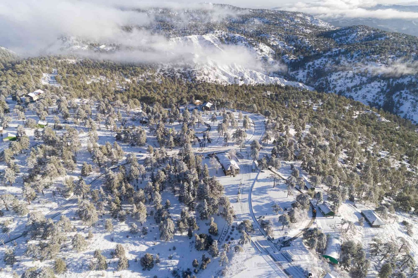 Aerial view of snow-covered woodland and ski slopes in the Troodos Mountains, Cyprus